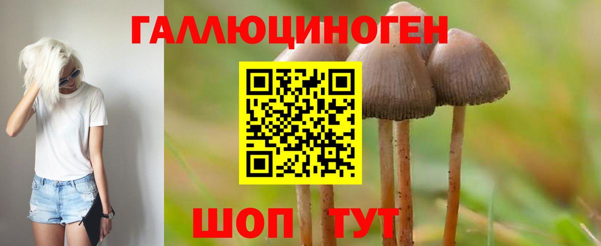 Псилоцибиновые грибы MAGIC MUSHROOMS  Вход с VPN  Псилоцибиновые грибы Psilocybine cubensis  Владимир 